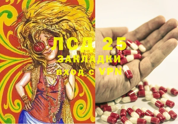 ПСИЛОЦИБИНОВЫЕ ГРИБЫ Аркадак