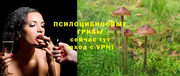 дурь Арсеньев