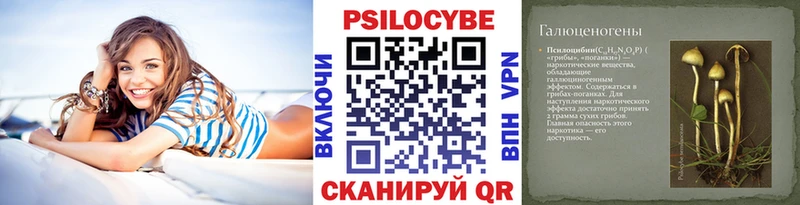kraken как зайти  Ногинск  Галлюциногенные грибы Psilocybe  где купить наркоту 
